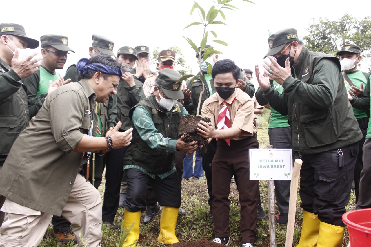 Menyambut Hari Menanam Pohon Indonesia. LDII Jabar Tanam 10.000 bibit pohon