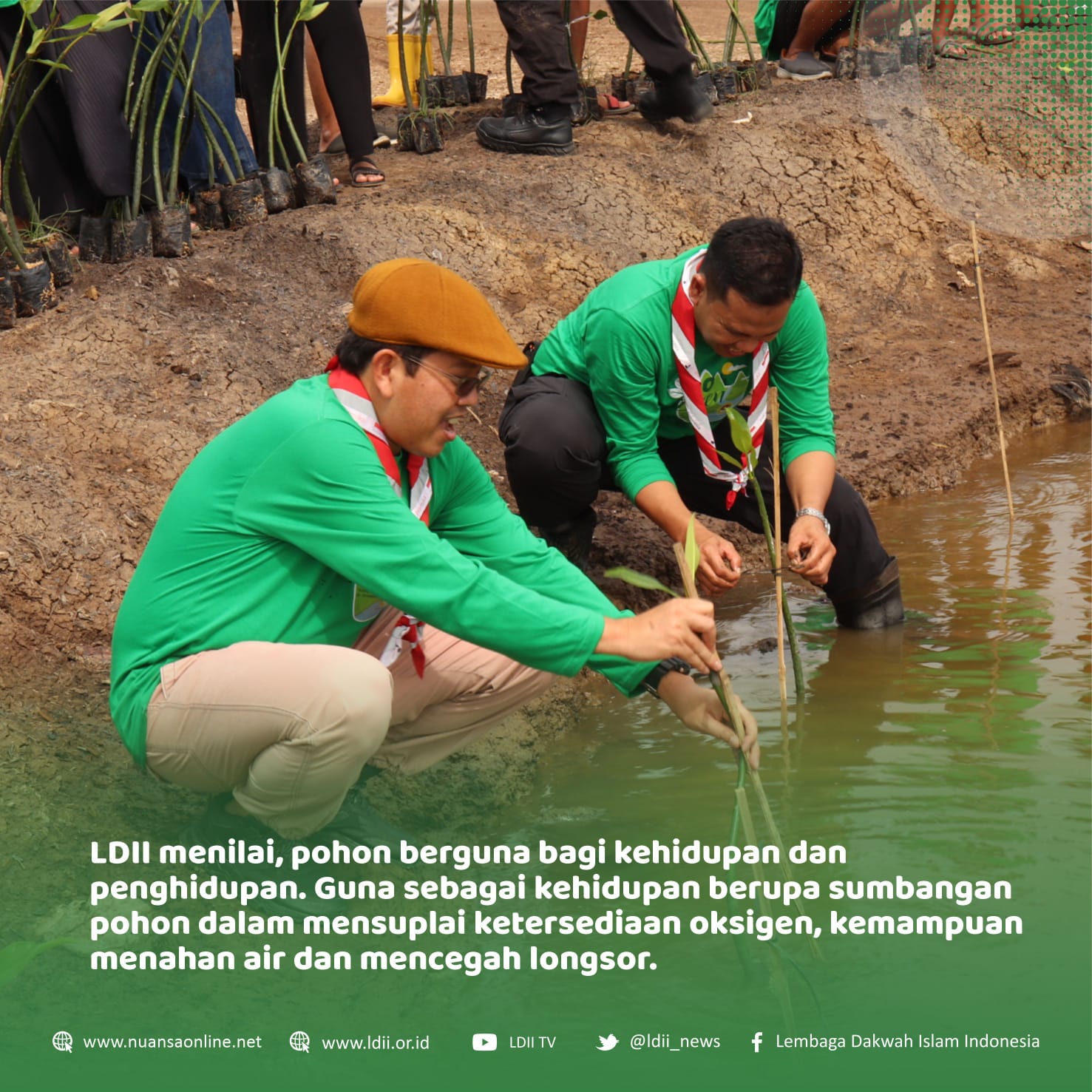 Tanam Pohon Hijaukan Lingkungan