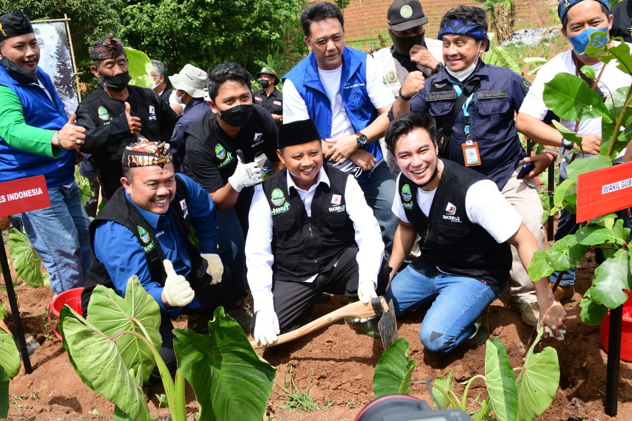 Jawa Barat Sukses Capai Target tanam 50 Juta Pohon