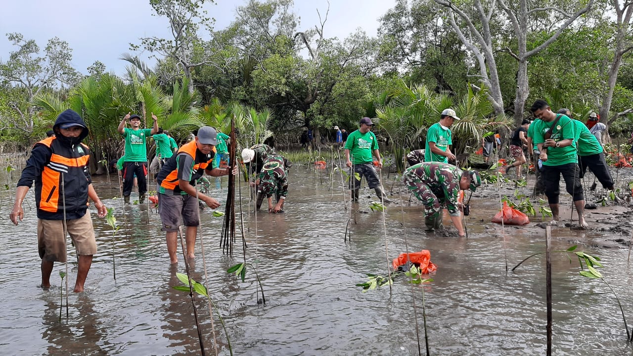 Jaga lingkungan, LDII Ketapang tanam ribuan Mangrove