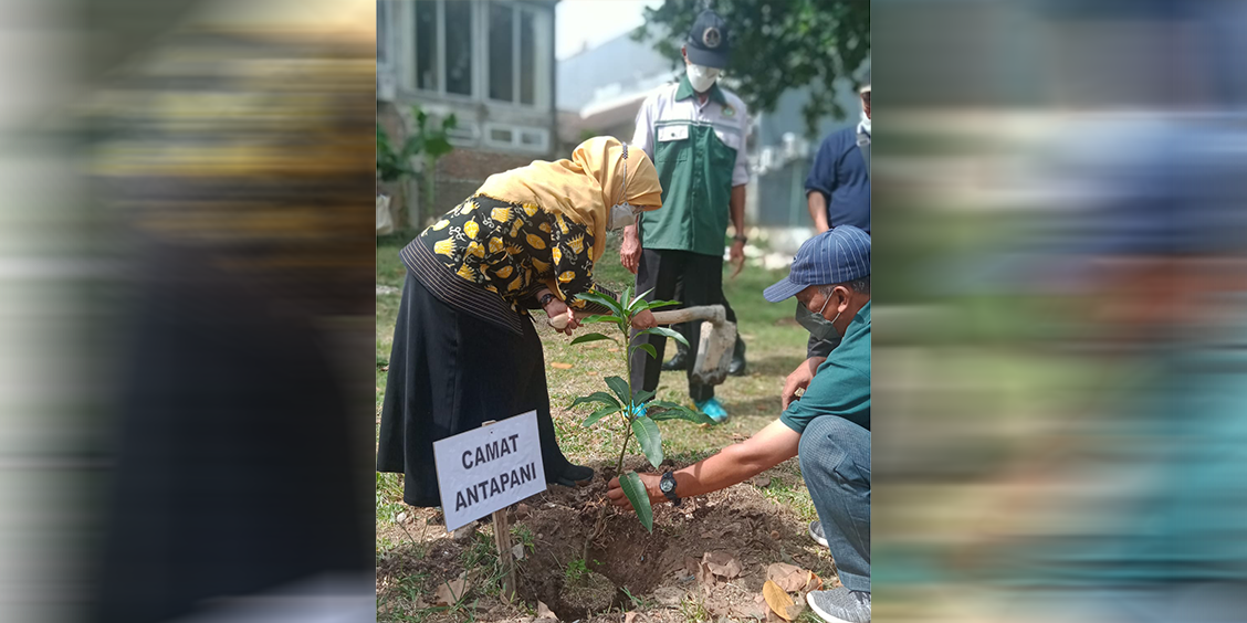Kolaborasi 3 PC LDII dalam Menanam bibit pohon produktif
