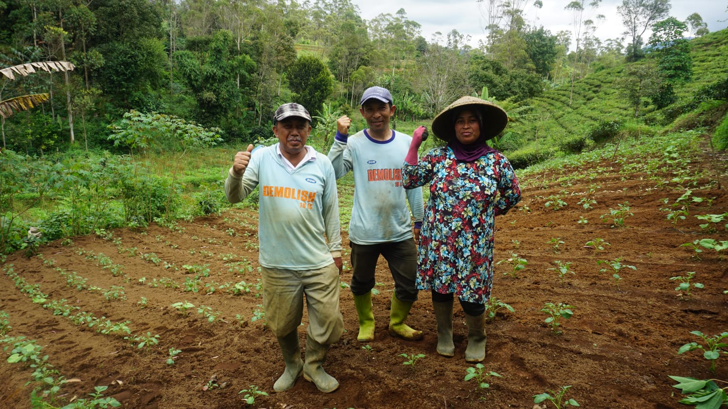 Petani Pangalengan Keluhkan Naiknya Obat hama penyakit
