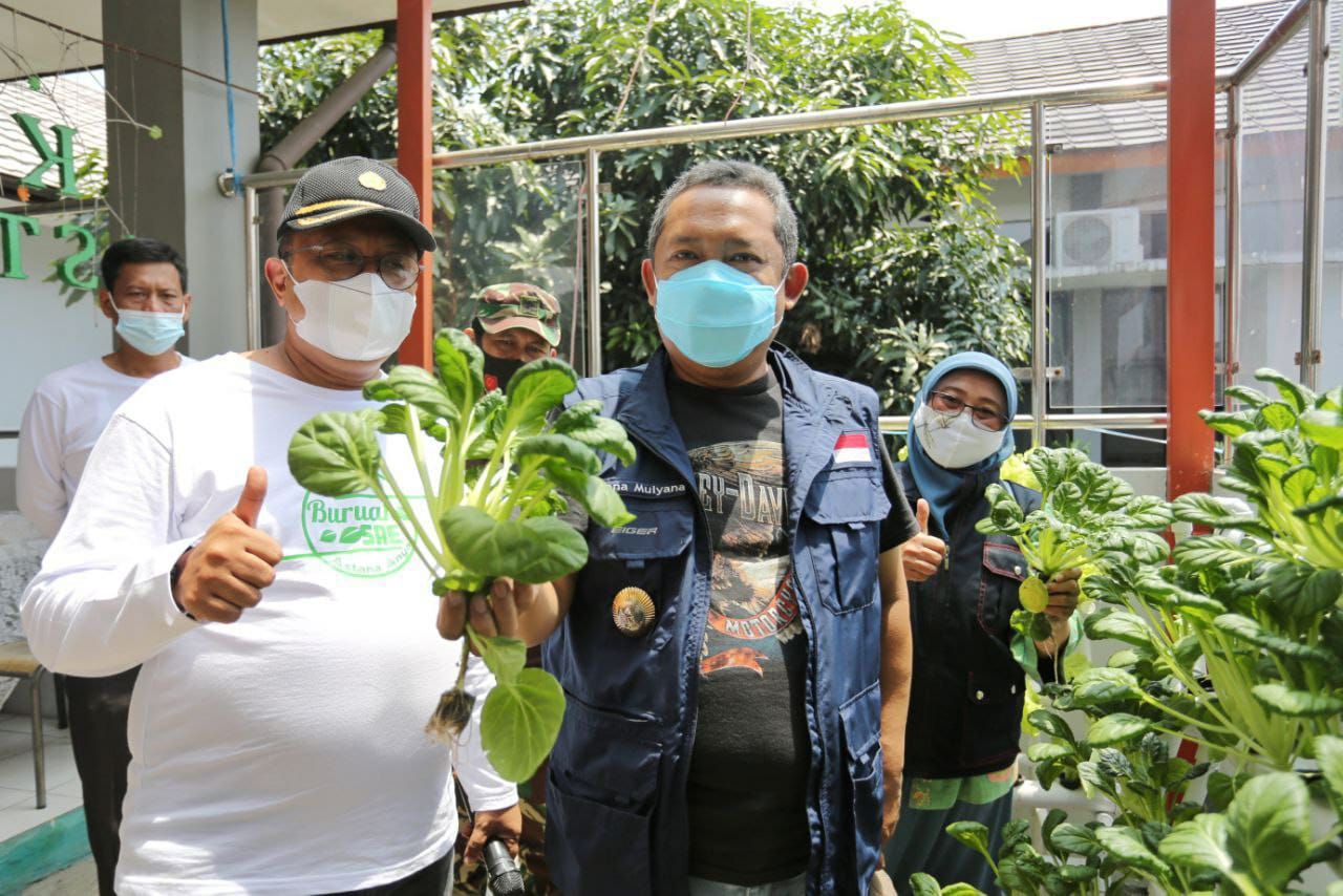 Wujudkan swasembada pangan, Pemkot Bandung Canangkan Buruan SAE sejak 2020