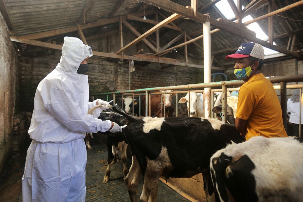 Jelang Qurban, Pemkot Bandung Terus Lanjutkan Vaksinasi Hewan Ternak