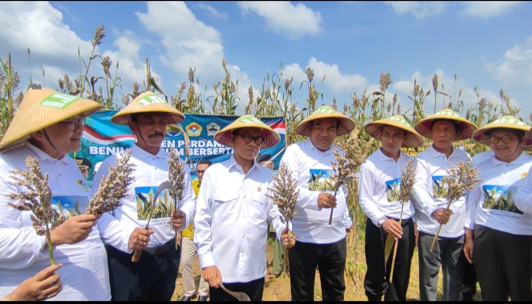 Blora Menuju Sentra Sorgum Nasional, LDII Siap Jadi Off Taker dan Minta Dukungan Presiden