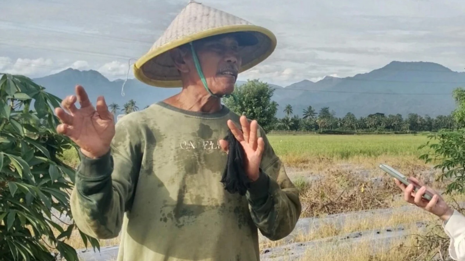 Petani LDII Polewali Mandar Sukses Mandiri Lewat Semangat dan Kerja Keras