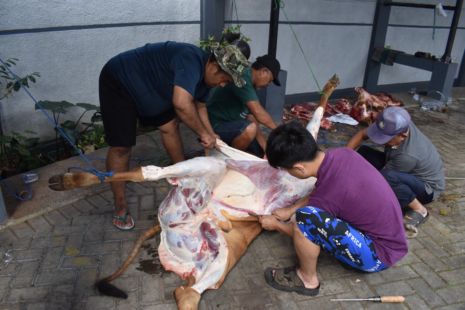 LDII Jabar Terima Sapi Kurban, Serukan Esensi Ibadah dan Kepedulian