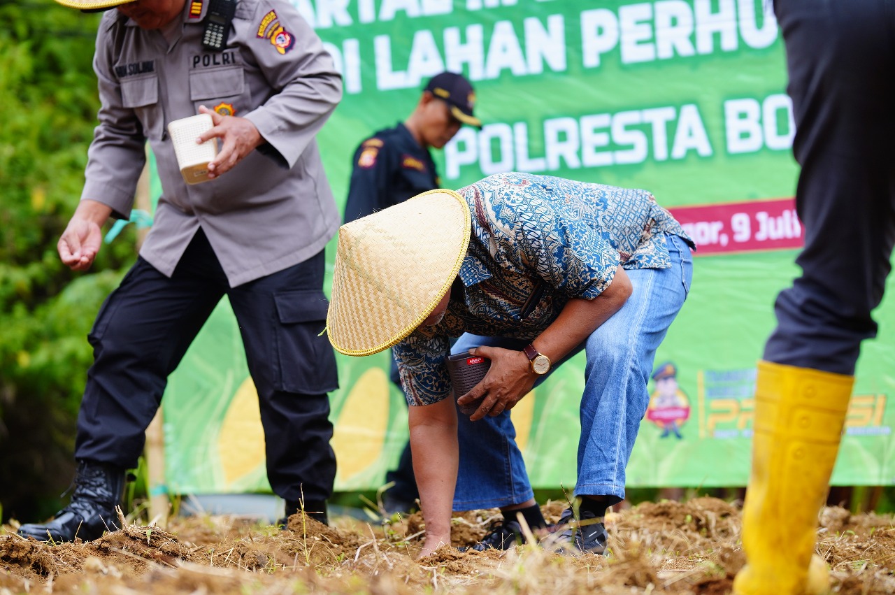 Gotong Royong Tumbuhkan Harapan: LDII, Polri, dan IPB Tanam Jagung di Rancamaya